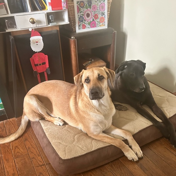 Meet your Posher, Jen - Picture 2 of 3